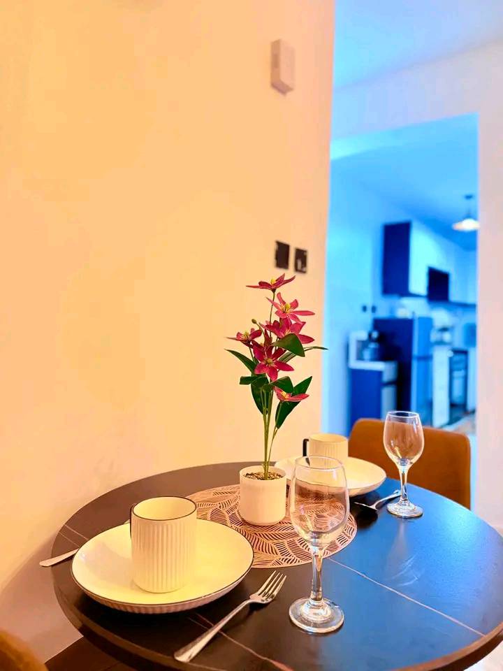 Modern 1 Bedroom AIRBNB in  Naivasha town CBD | Roomfinder